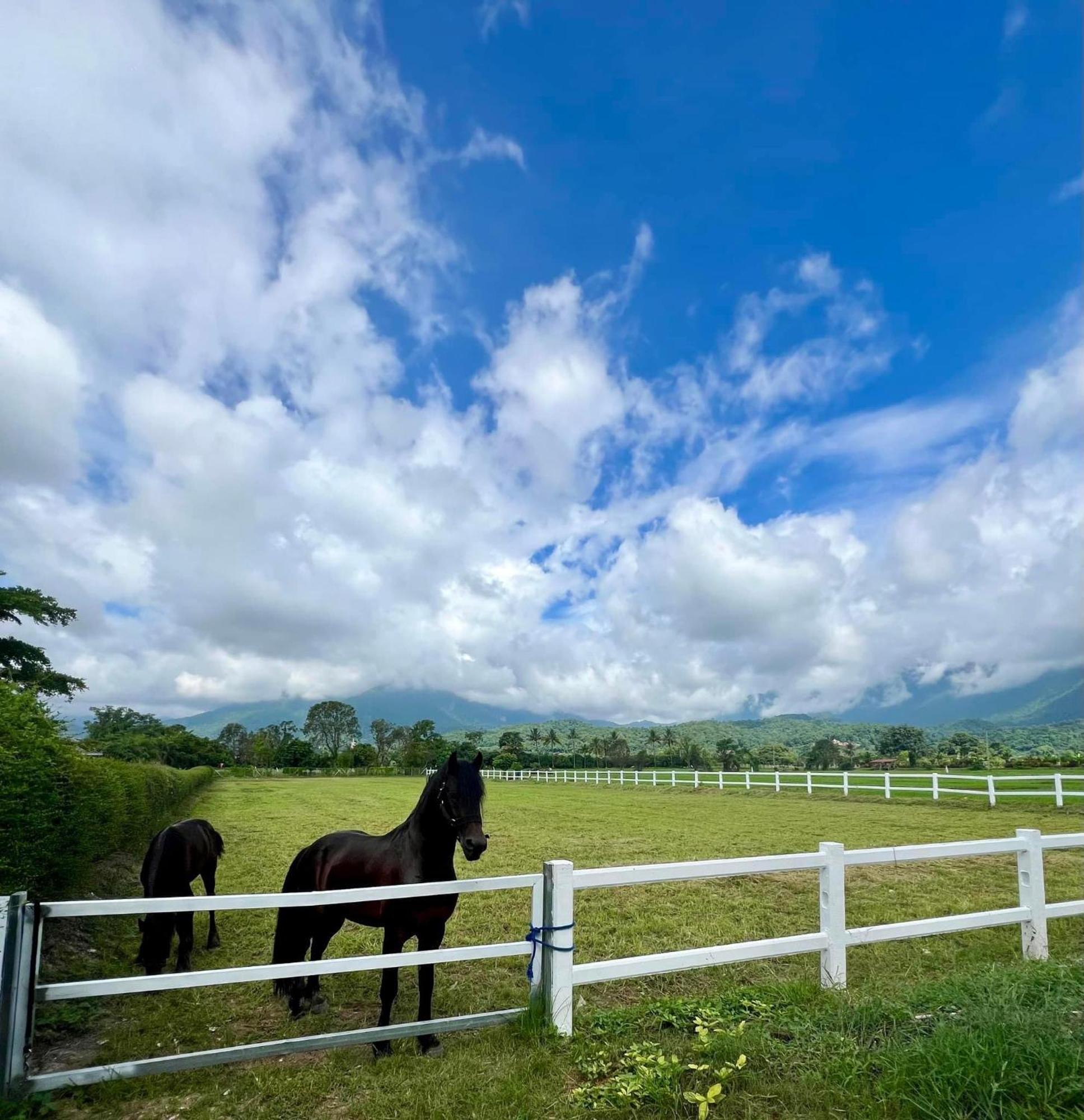 The Wes Village, Incl Free Breakfast & 100 Thb Food Gift Chiang Dao Exterior foto