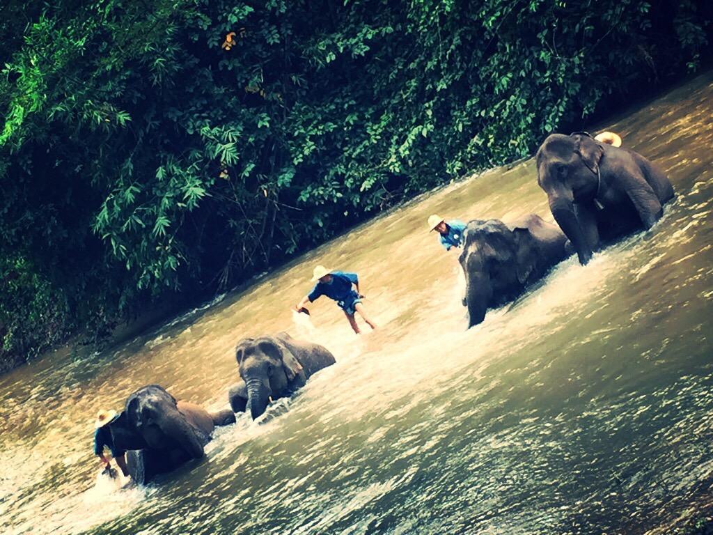 The Wes Village, Incl Free Breakfast & 100 Thb Food Gift Chiang Dao Exterior foto